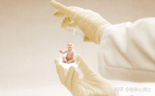 什么是供精试管婴儿?哪些人需要做? - 知乎