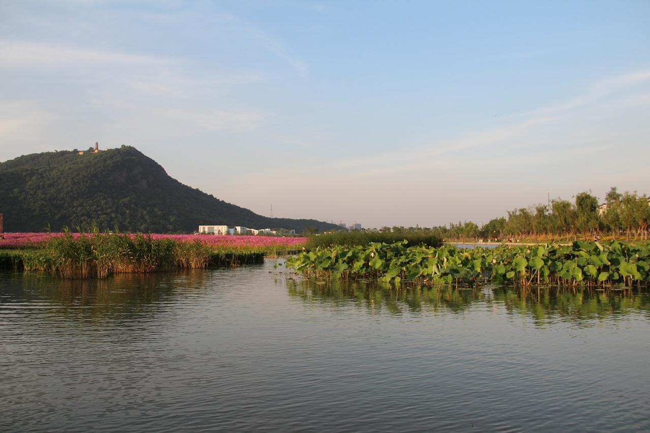 花开满园的春色绚烂