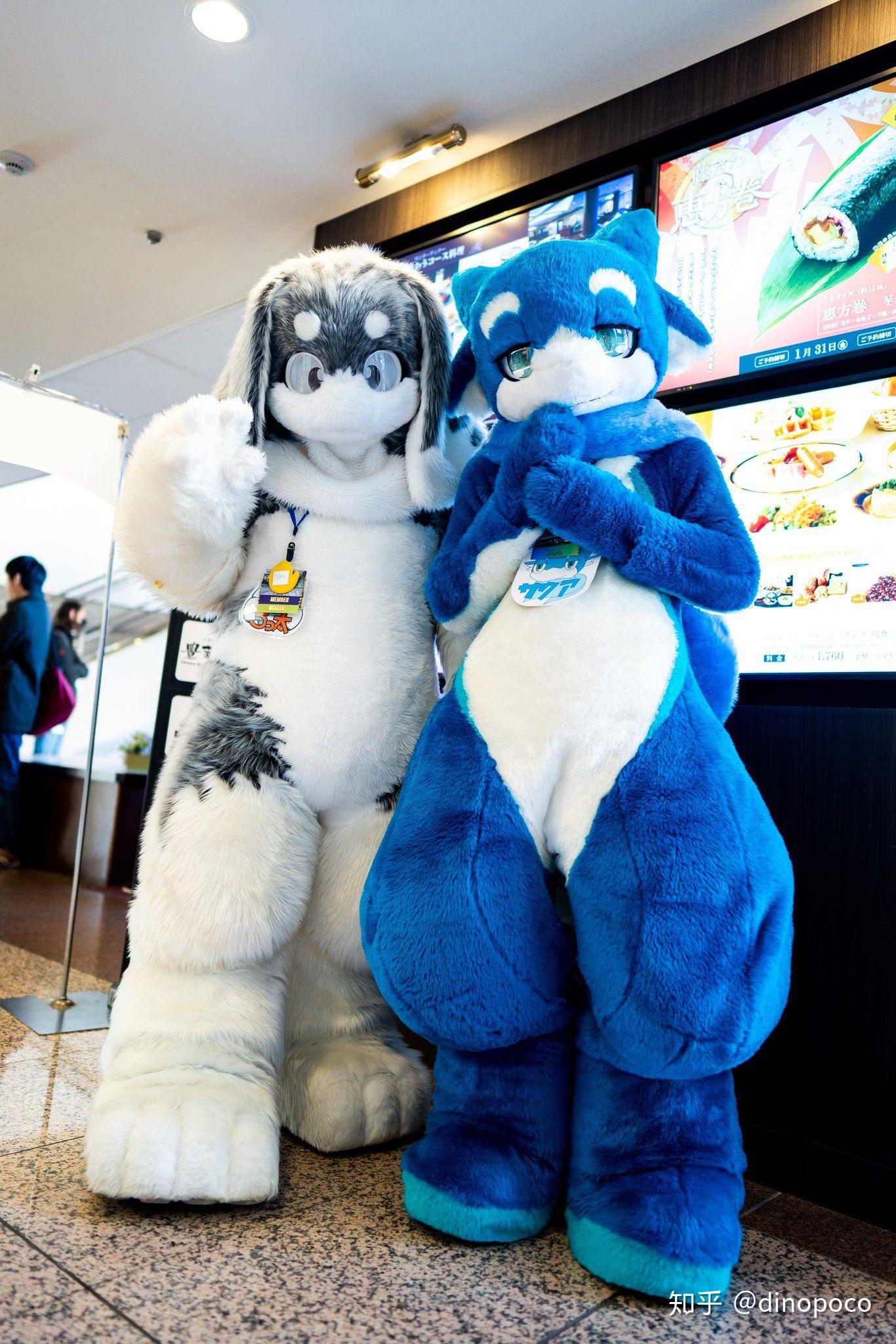 求一些可爱的兔子兽装图片