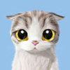 leeyoungsun