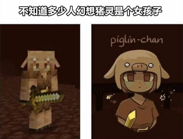 你认为我的世界里哪个生物最丑