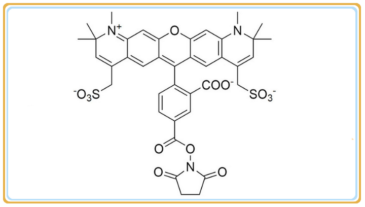 供应水溶性染料AF594 NHS ester，5-isomer，CAS：1638544-48-5 - 知乎