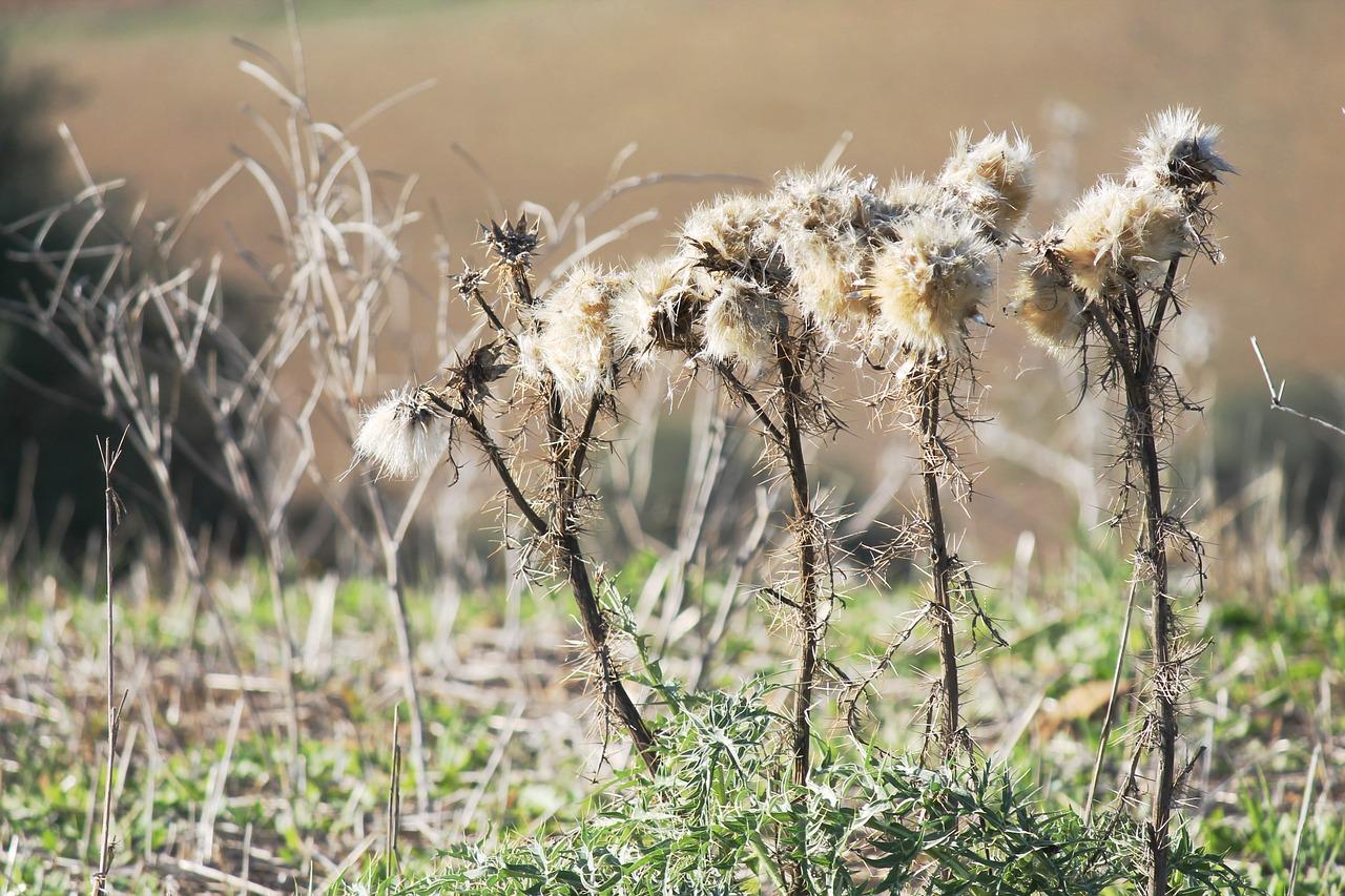 3. 长芦周边配套