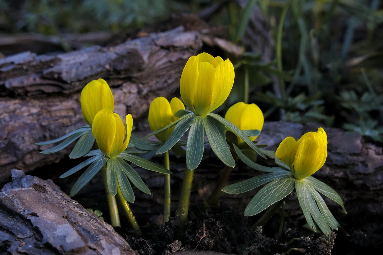 4. 低温储藏方法