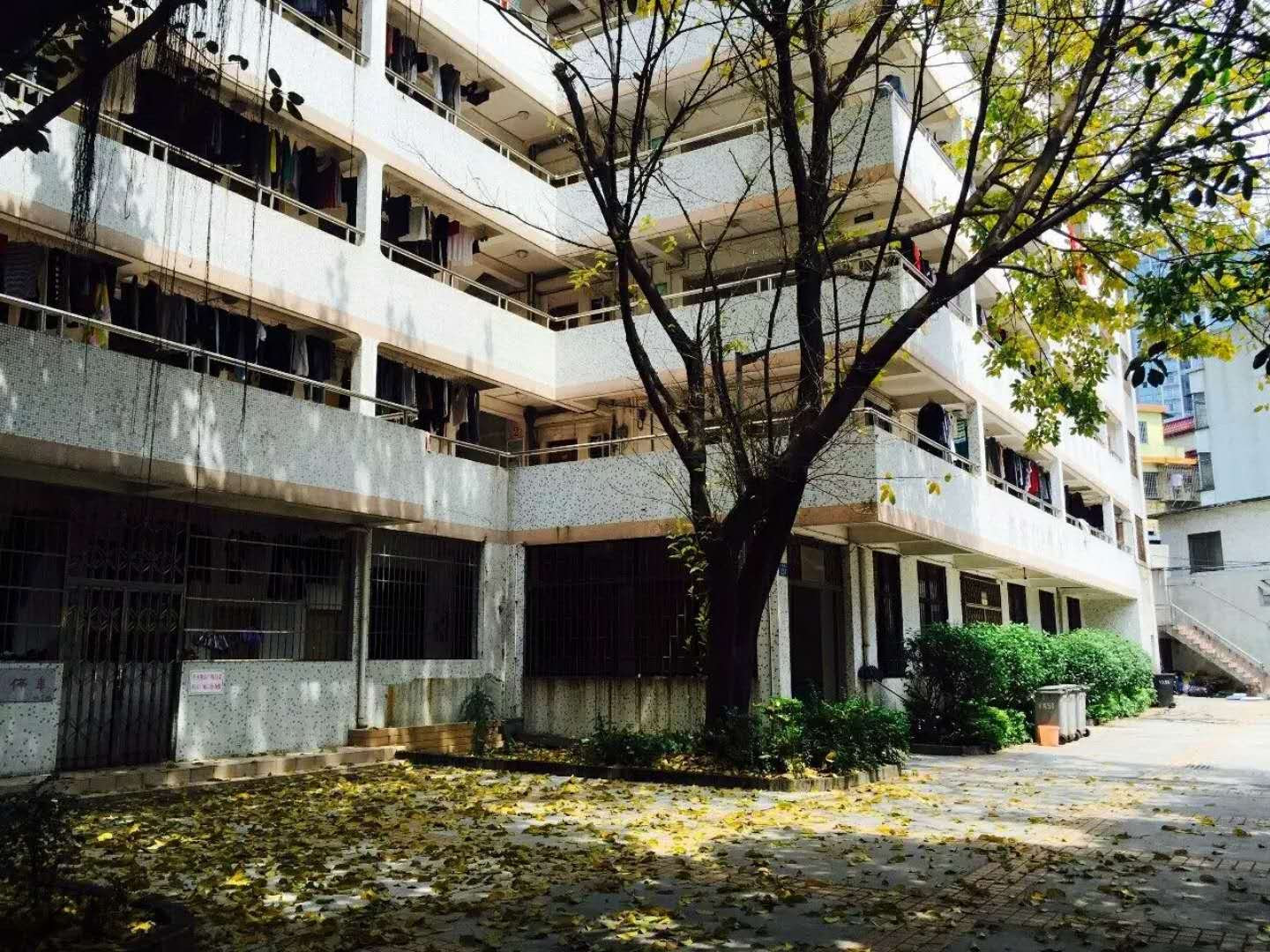 在廣東技術師範大學讀書生活是怎樣的體驗