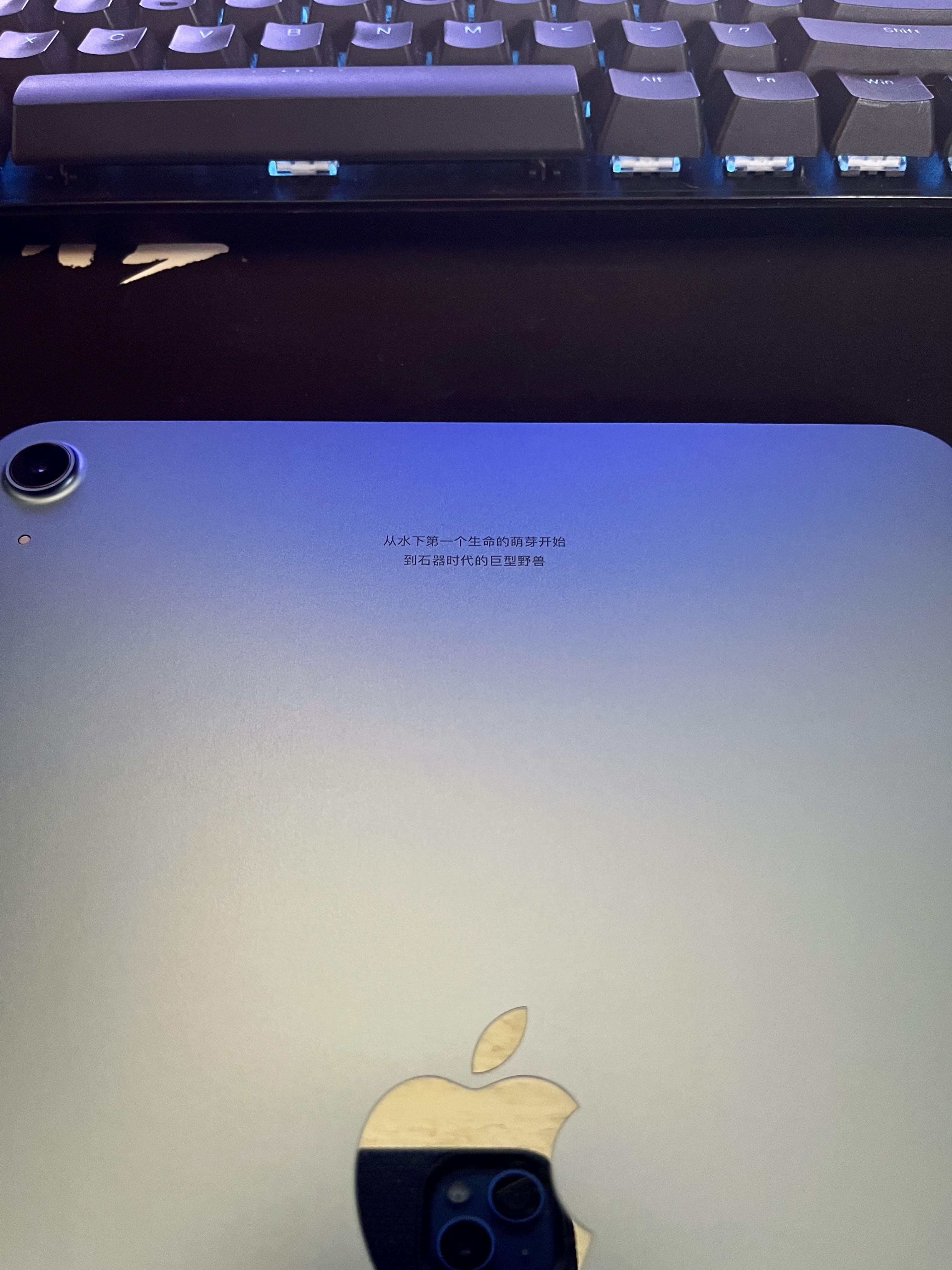 如果让你在 ipad 后面激光镌刻一行文字,你会写些什么?