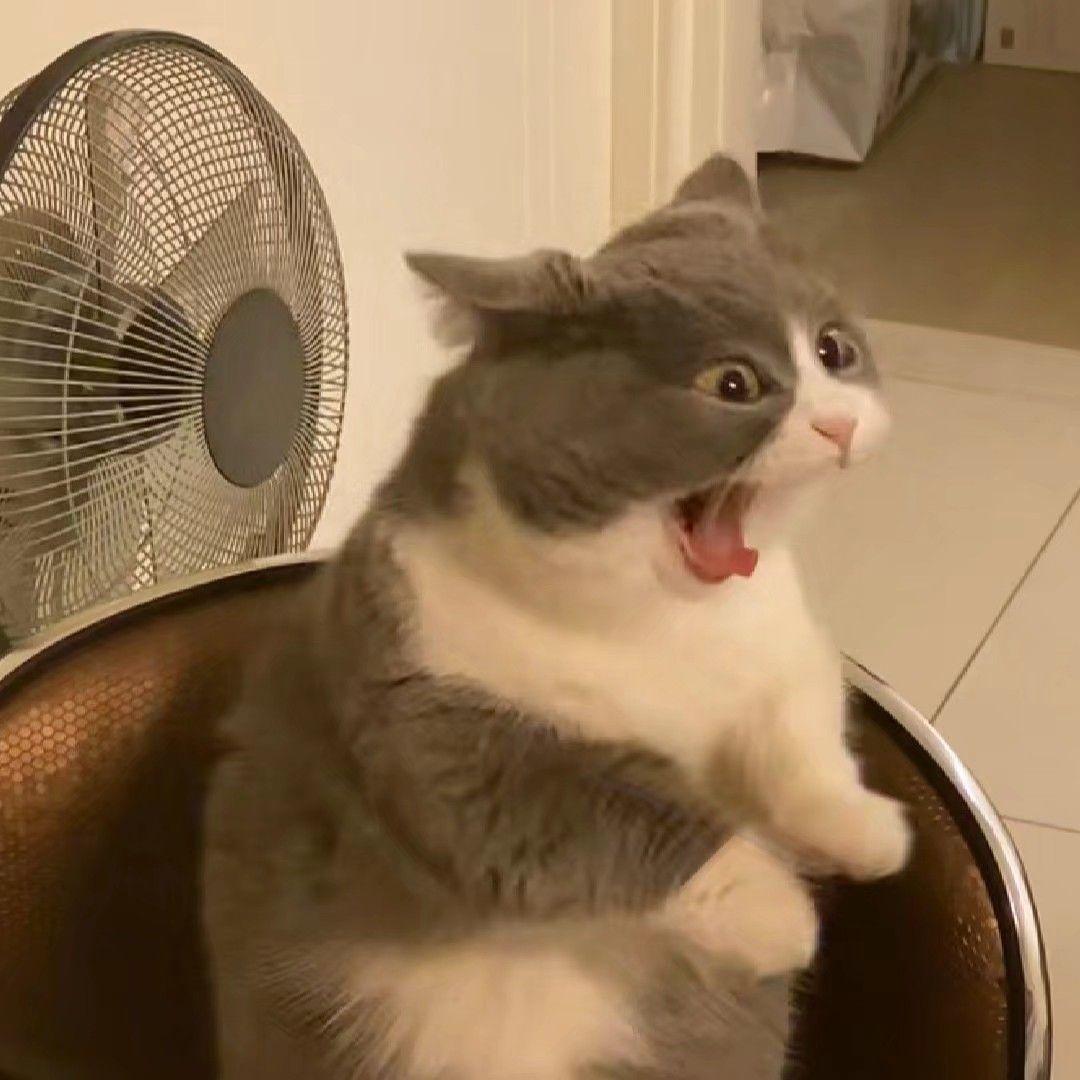 有没有一些搞怪无厘头的情侣头像