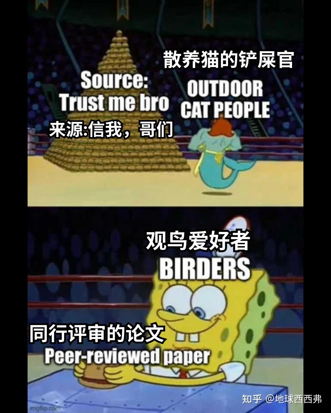 【每日meme】鸟 - 知乎