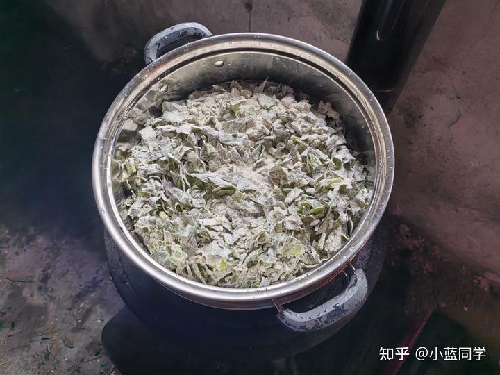 人，可以废物到什么程度？