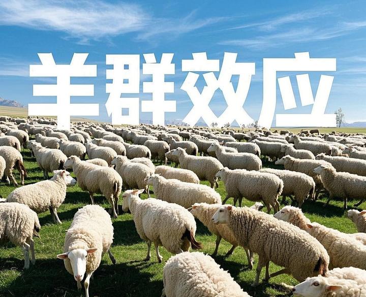羊群效应 | 别让“随大流”悄悄偷走你的独立思考 - 知乎
