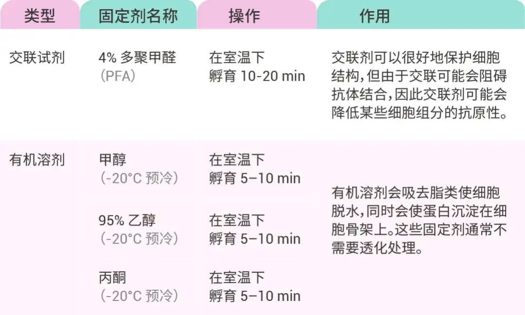 免疫细胞化学/免疫荧光 (ICC/IF) 实验操作全流程! 一看就懂噻~ | MedChemExpress (MCE) - 知乎