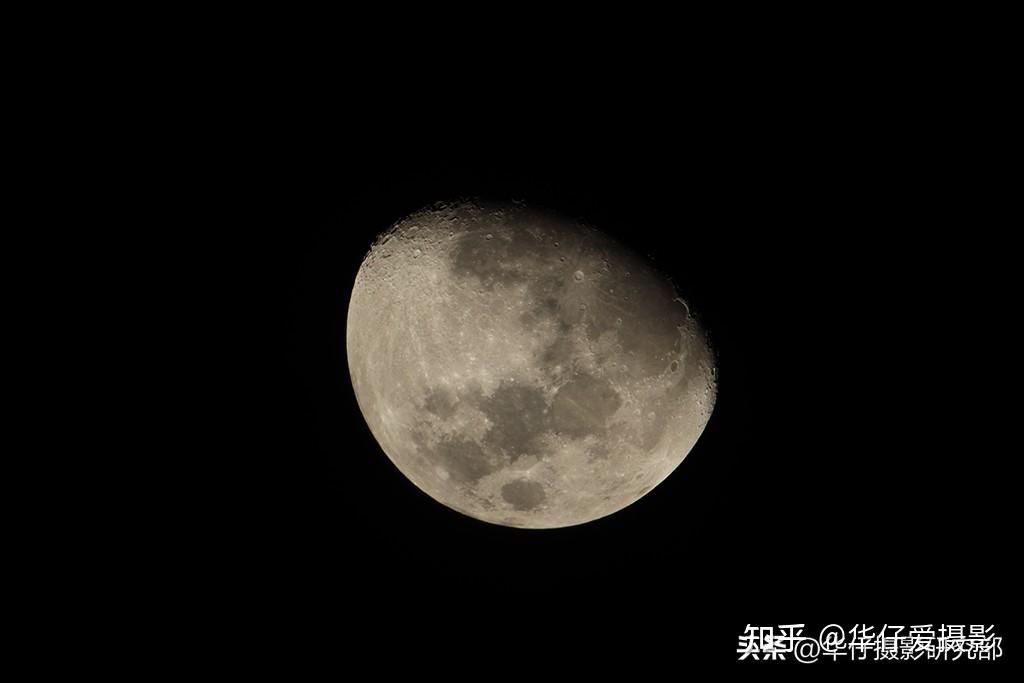 Canon鏡頭收購