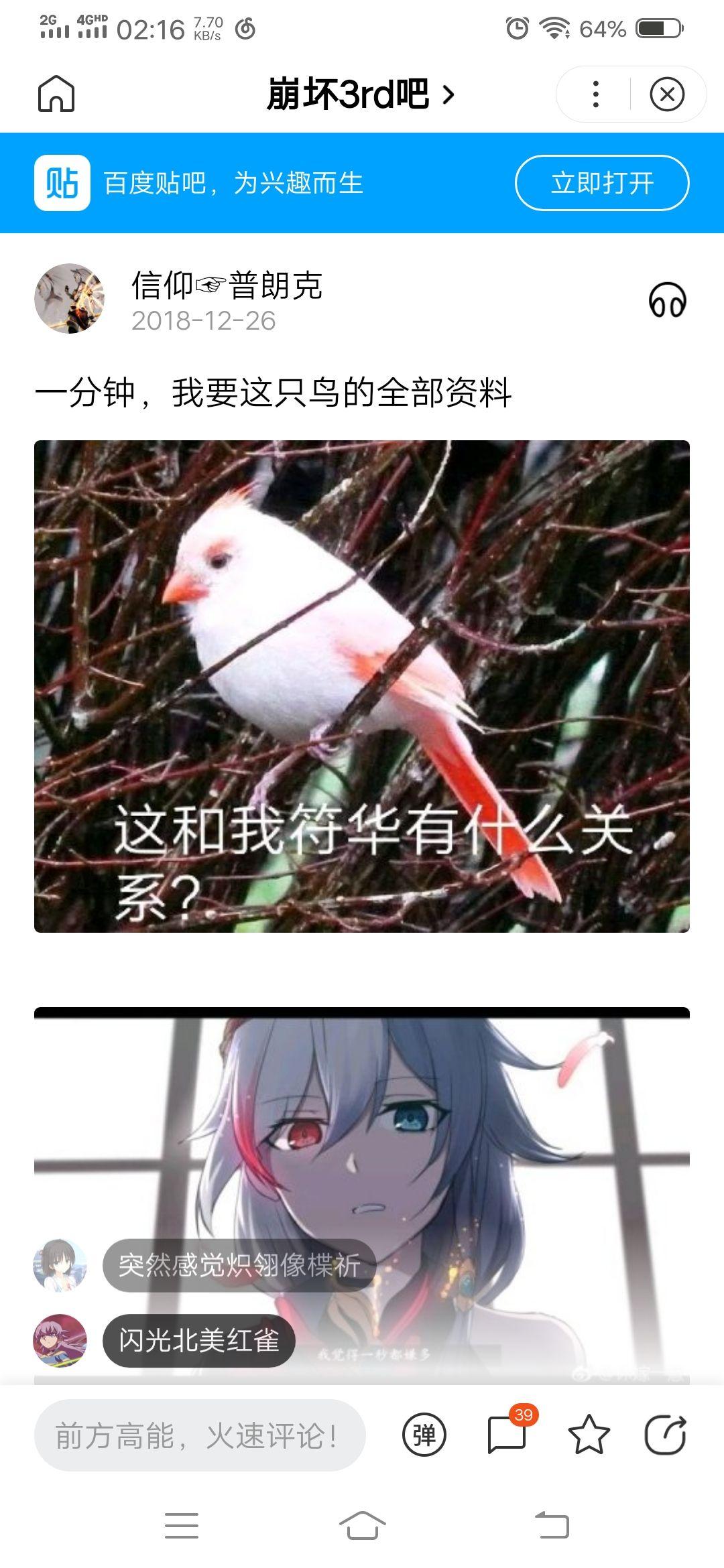 这种长得像赤鸢仙人的鸟叫啥