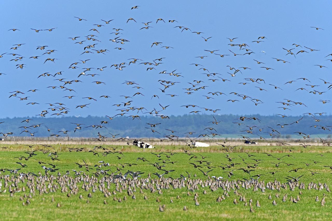 4. 通风换气管理