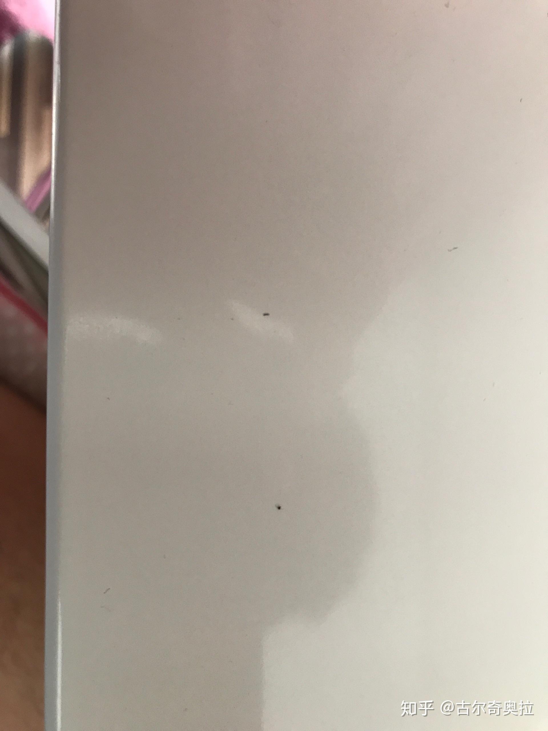 这黑点到底是蟑螂排泄物吗