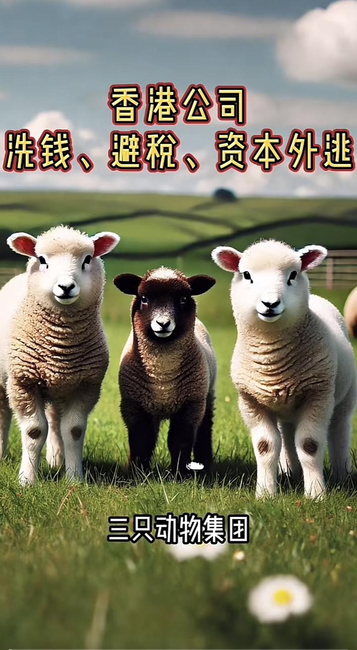 三只羊集团已被立案调查 - 知乎