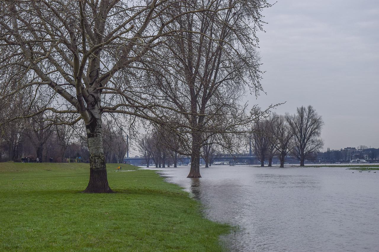 3. 沥下楼盘推荐