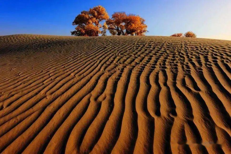 地理上的背景风指的是什么风? - 知乎