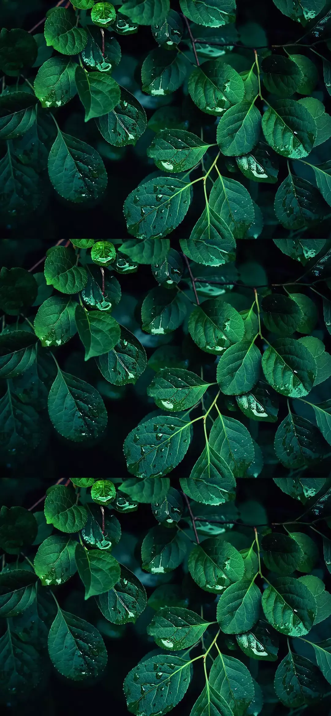 有什么保护眼睛的手机壁纸求推荐