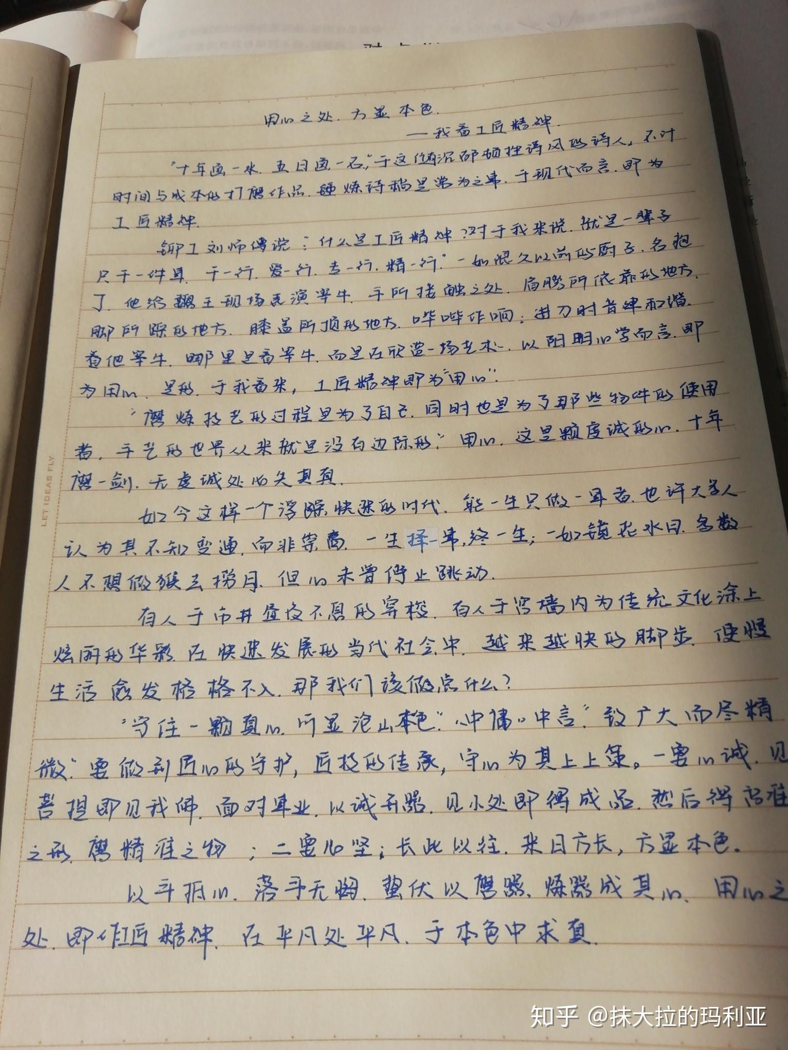 我看工匠精神为副标题作文