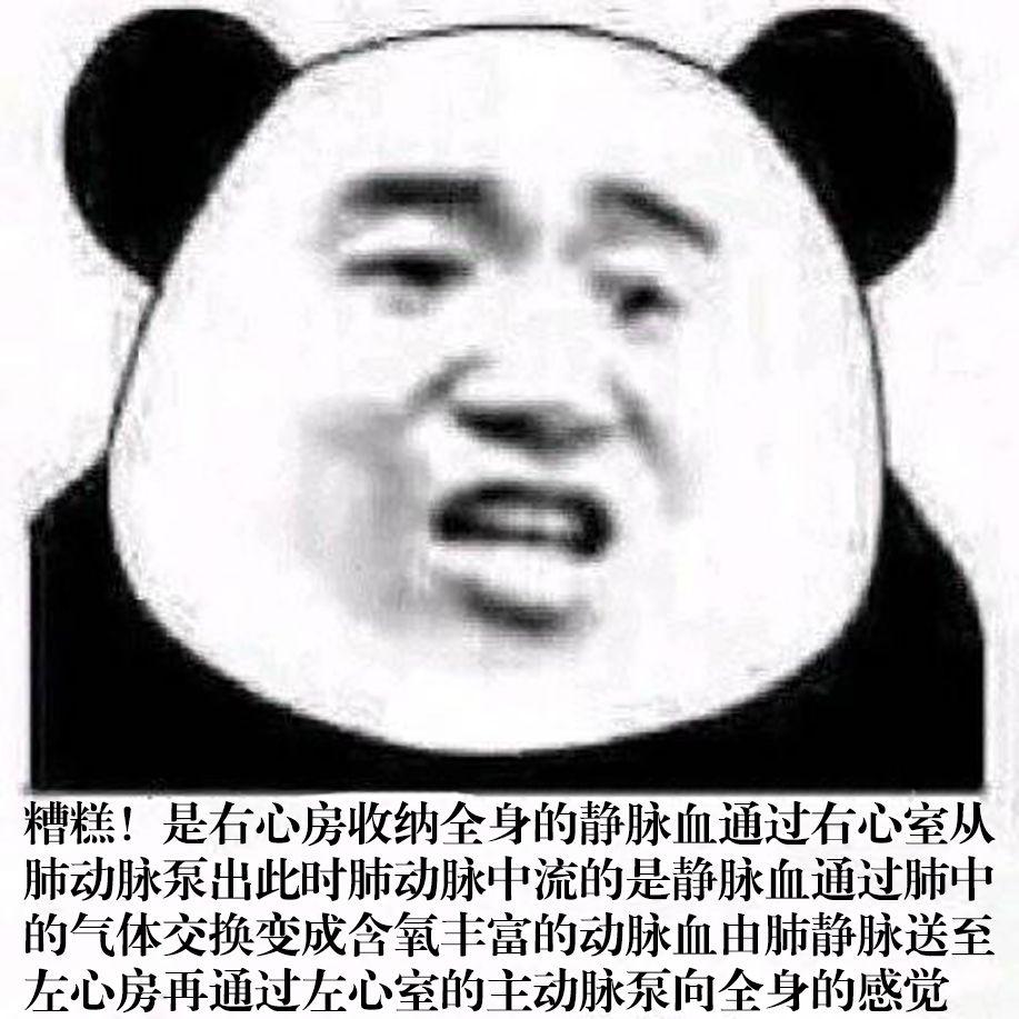 有哪些有趣的医学生专用的沙雕表情包? - 知乎