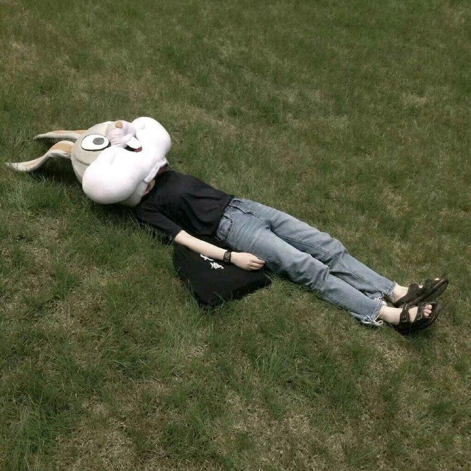 有哪些高逼格的欧美沙雕头像? - 知乎