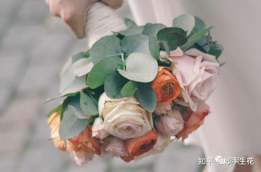 10种常见花束配叶介绍 - 知乎