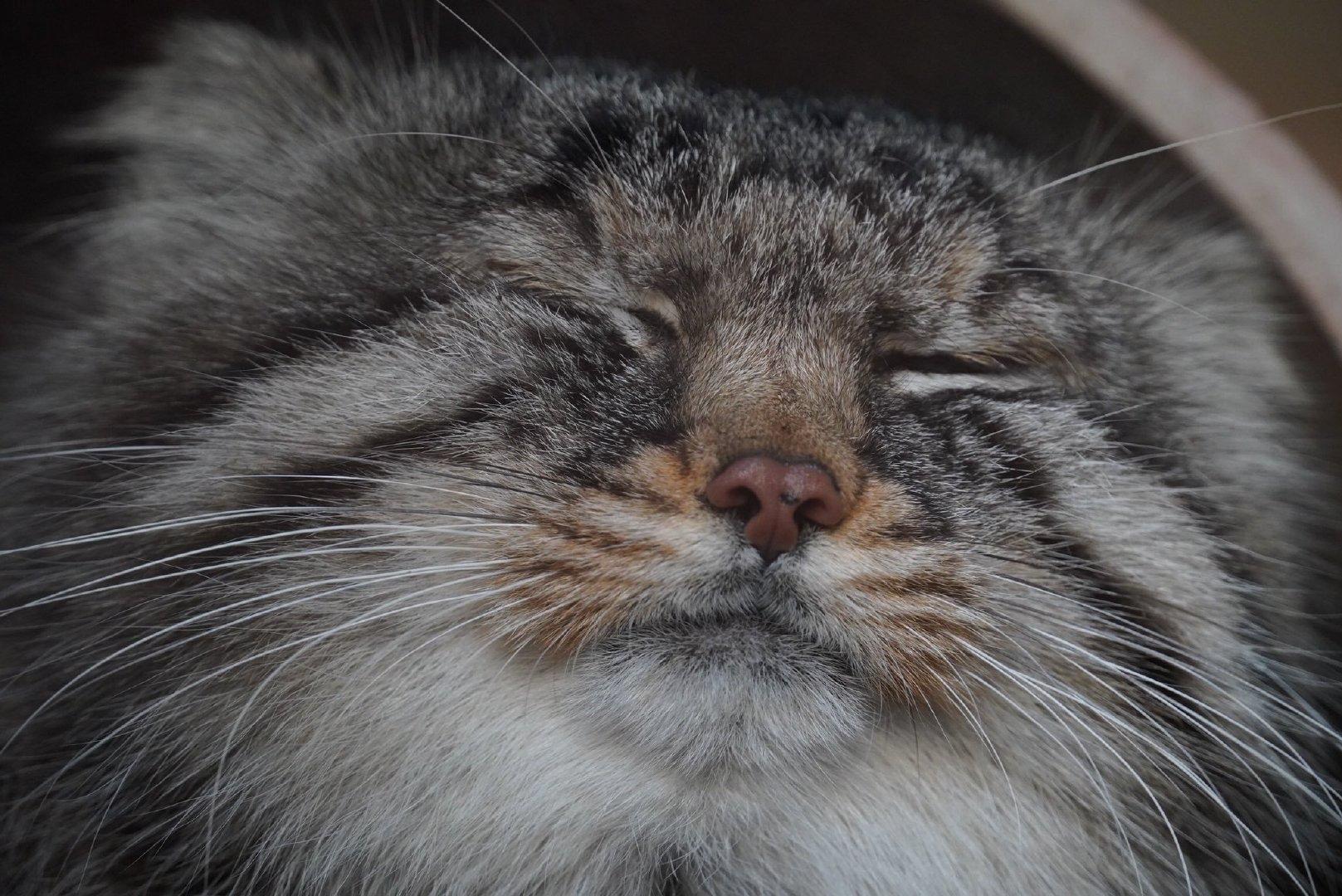 长得丑如何拥有漂亮马子