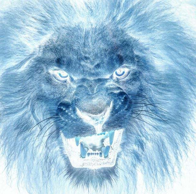 黑狮行动针对西班牙语地区的攻击活动分析