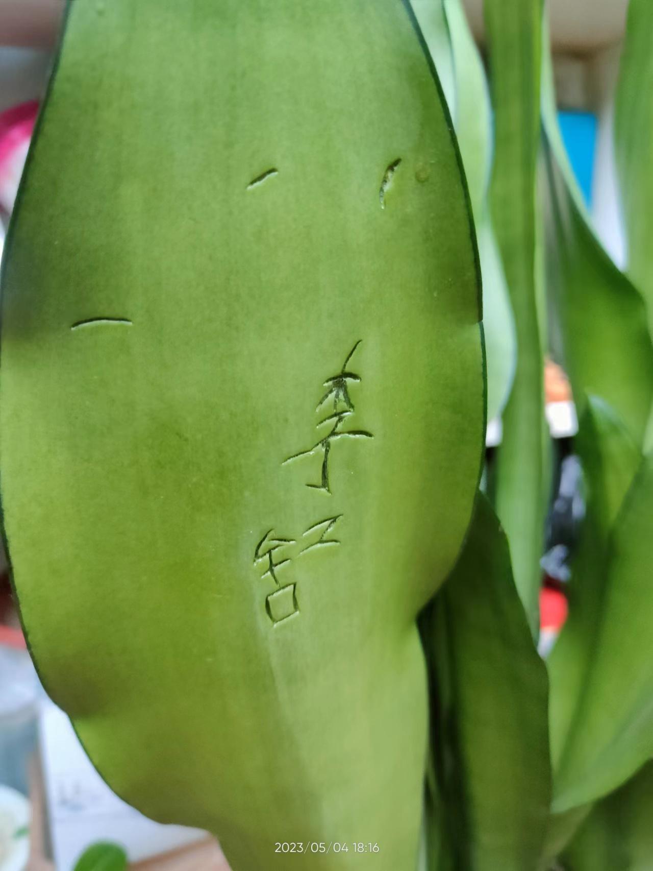 生活中有哪些双标的例子? - 知乎