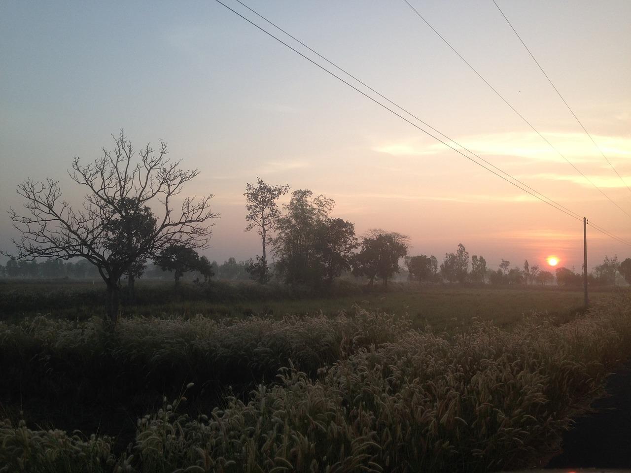 体验农活乐趣多