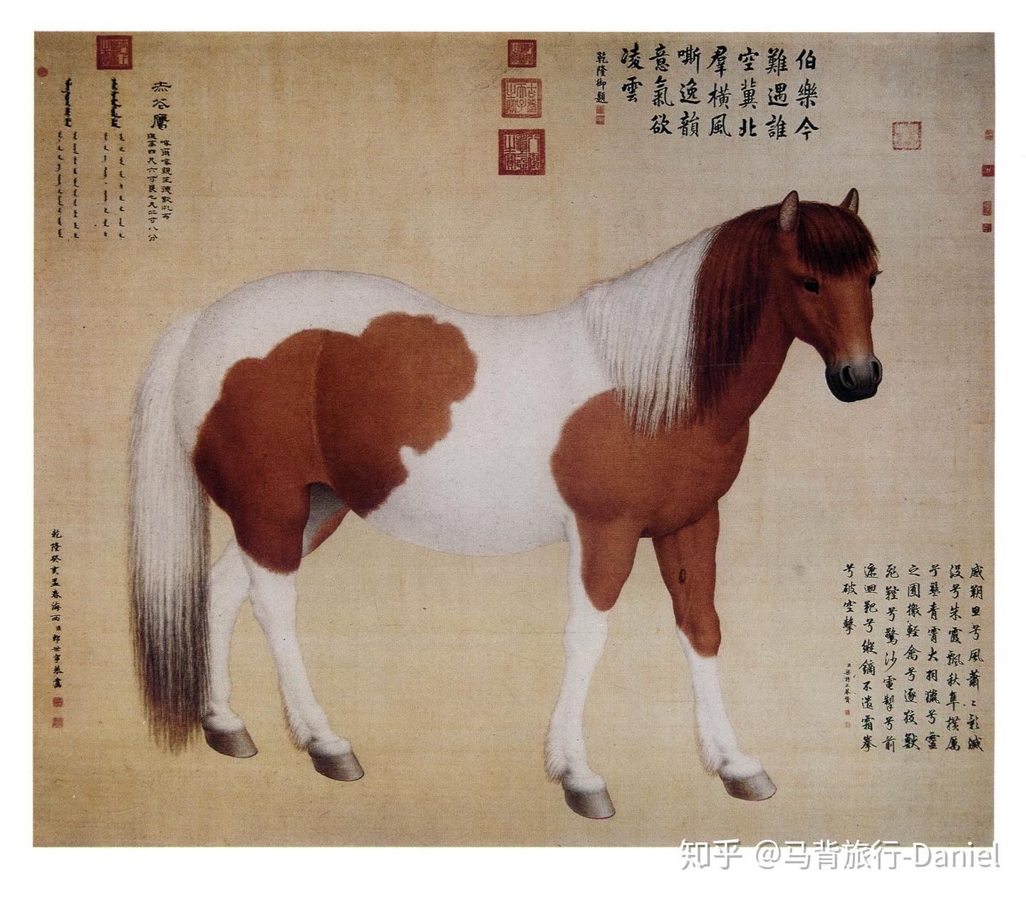 清代 中国美術 馬！馬！馬！乾隆八駿圖、大型絵画（複製品） 清代 中国美術 馬！馬！馬！乾隆八駿圖、大型絵画（複製品） 【公式通販】