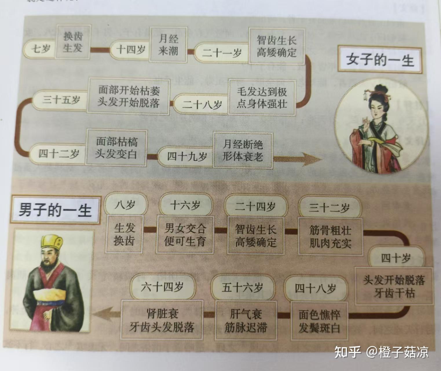 《黄帝内经》个人读书笔记 - 知乎