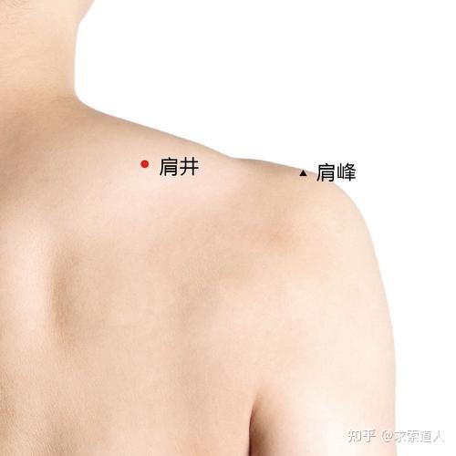 为什么"肩颈部位"要常刮痧? - 知乎
