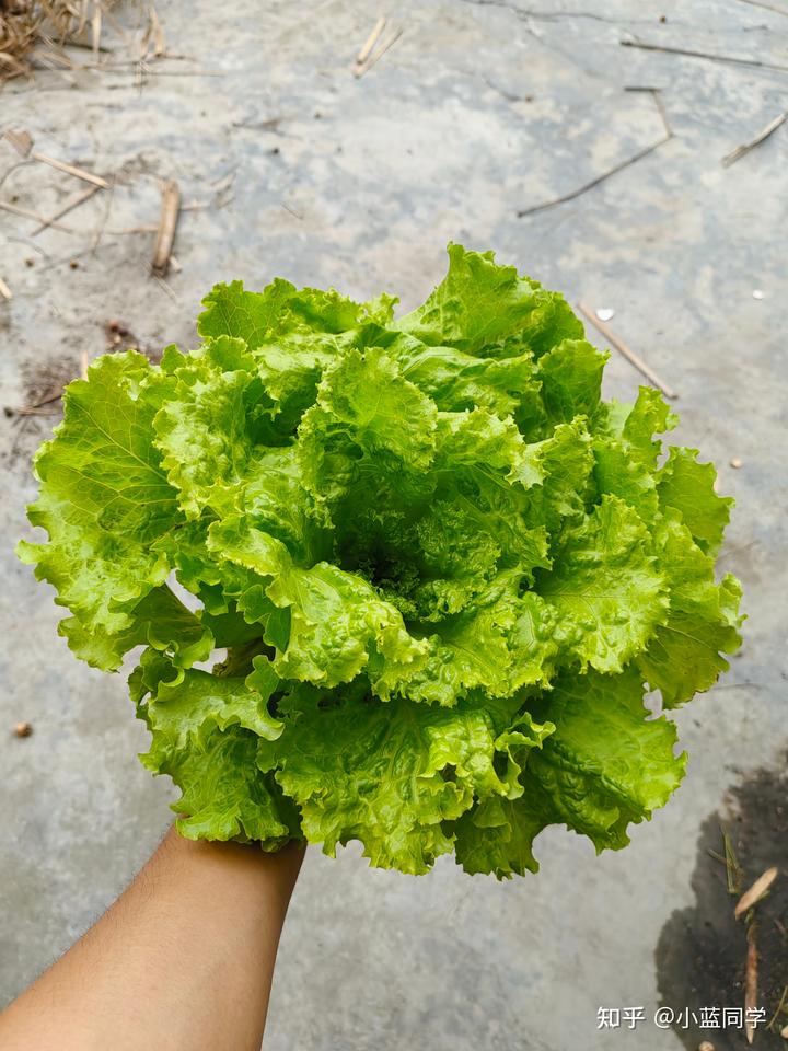 人，可以废物到什么程度？