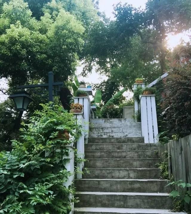 迟桂花 - 知乎