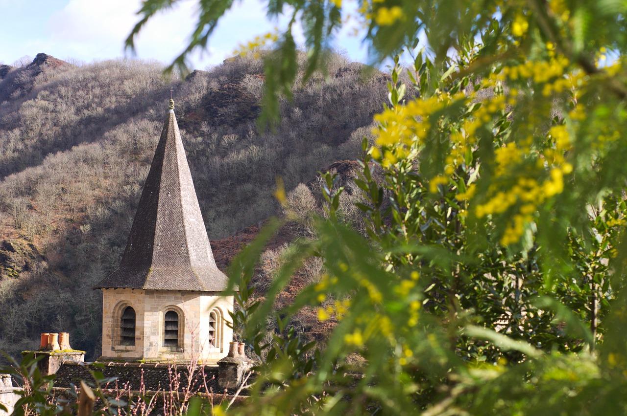 含羞草的奇妙特性