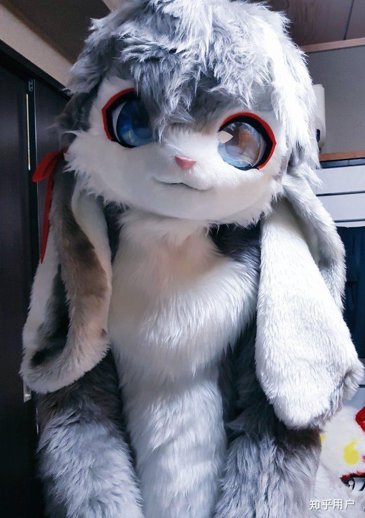 如何说服家长同意买一件17000rmb的fursuit兽装