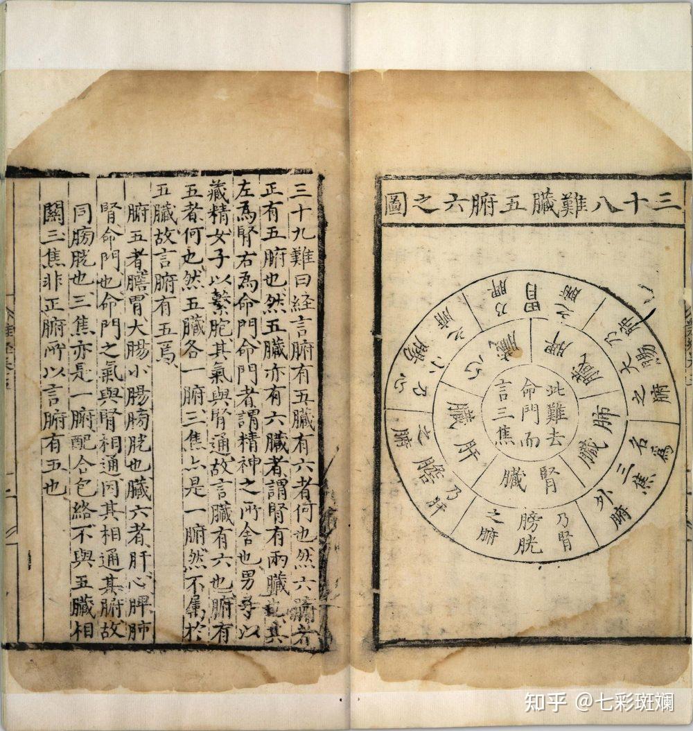 中医典籍——《虚损启微》纯享版二 - 知乎