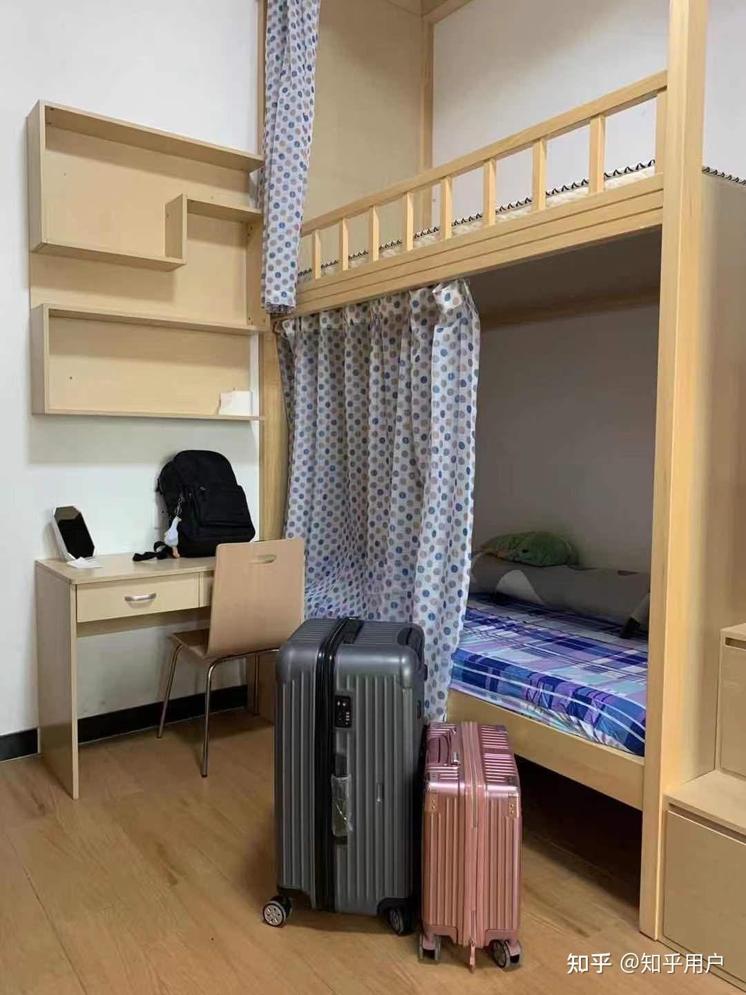 深圳市桃源居中澳实验学校怎样