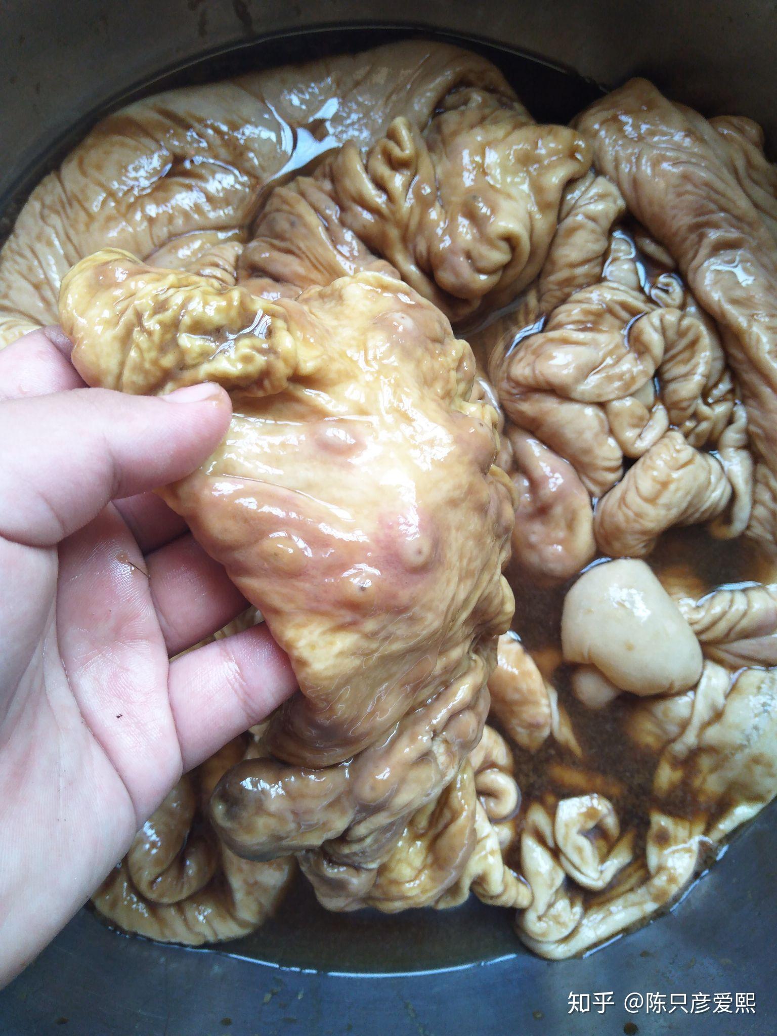 猪大肠上的紫红色点是什么猪得了什么严重的病吗吃了对身体有什么不好