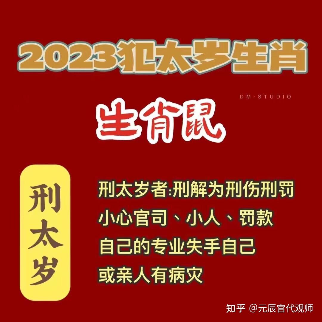 生肖鼠2023每月运势(生肖鼠在2023年的运势以及注意月份)