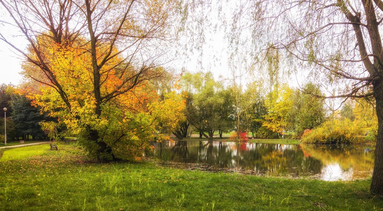 水上乐园乐翻天