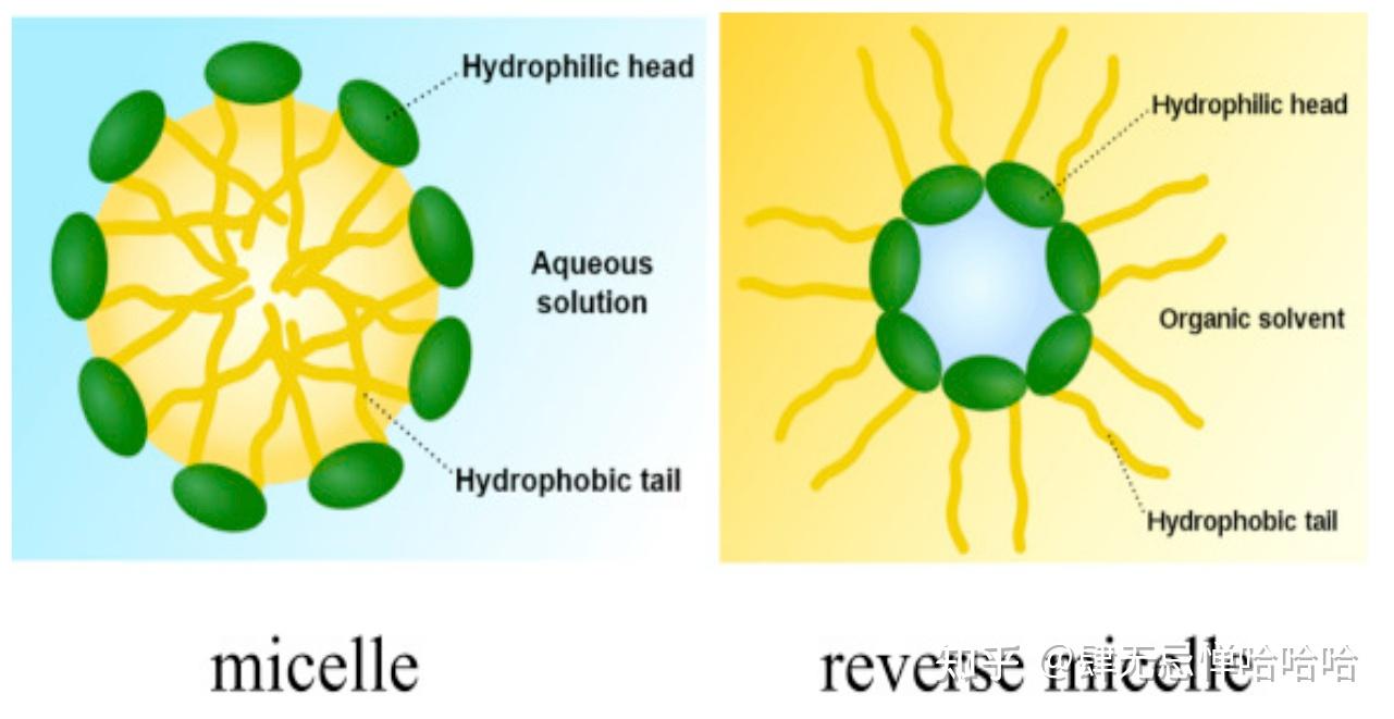 胶束制剂 Micelles formulation - 知乎