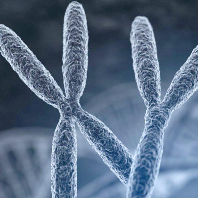 人类基因是一套屎山代码吗？