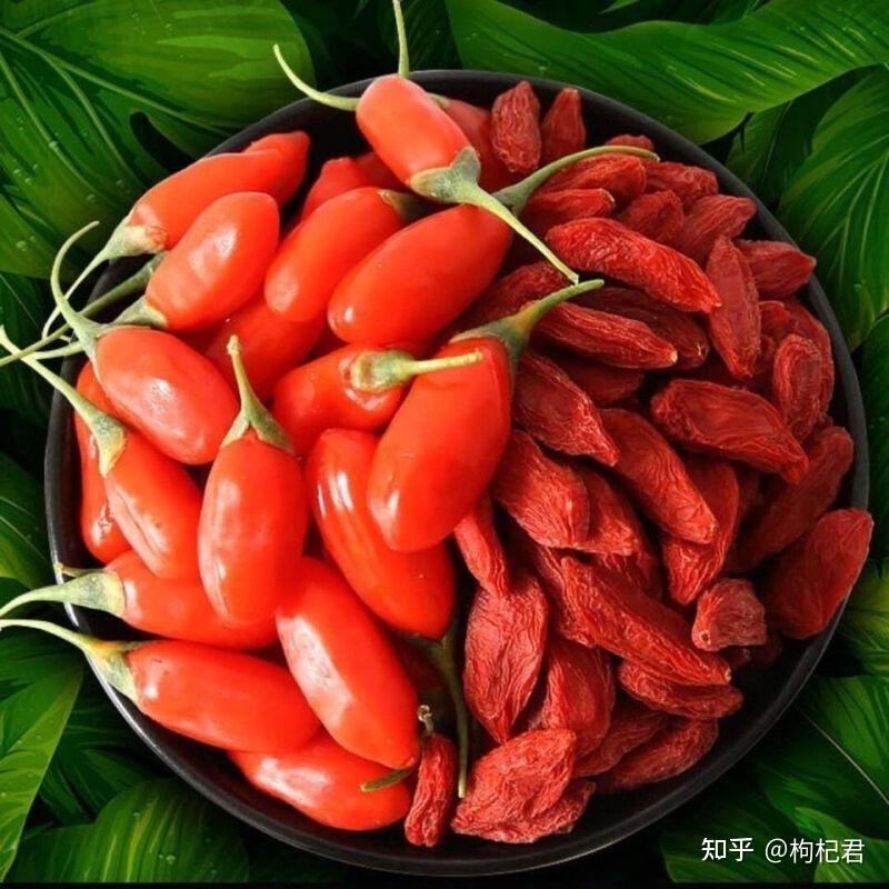 为什么枸杞要吃头茬的？ - 知乎