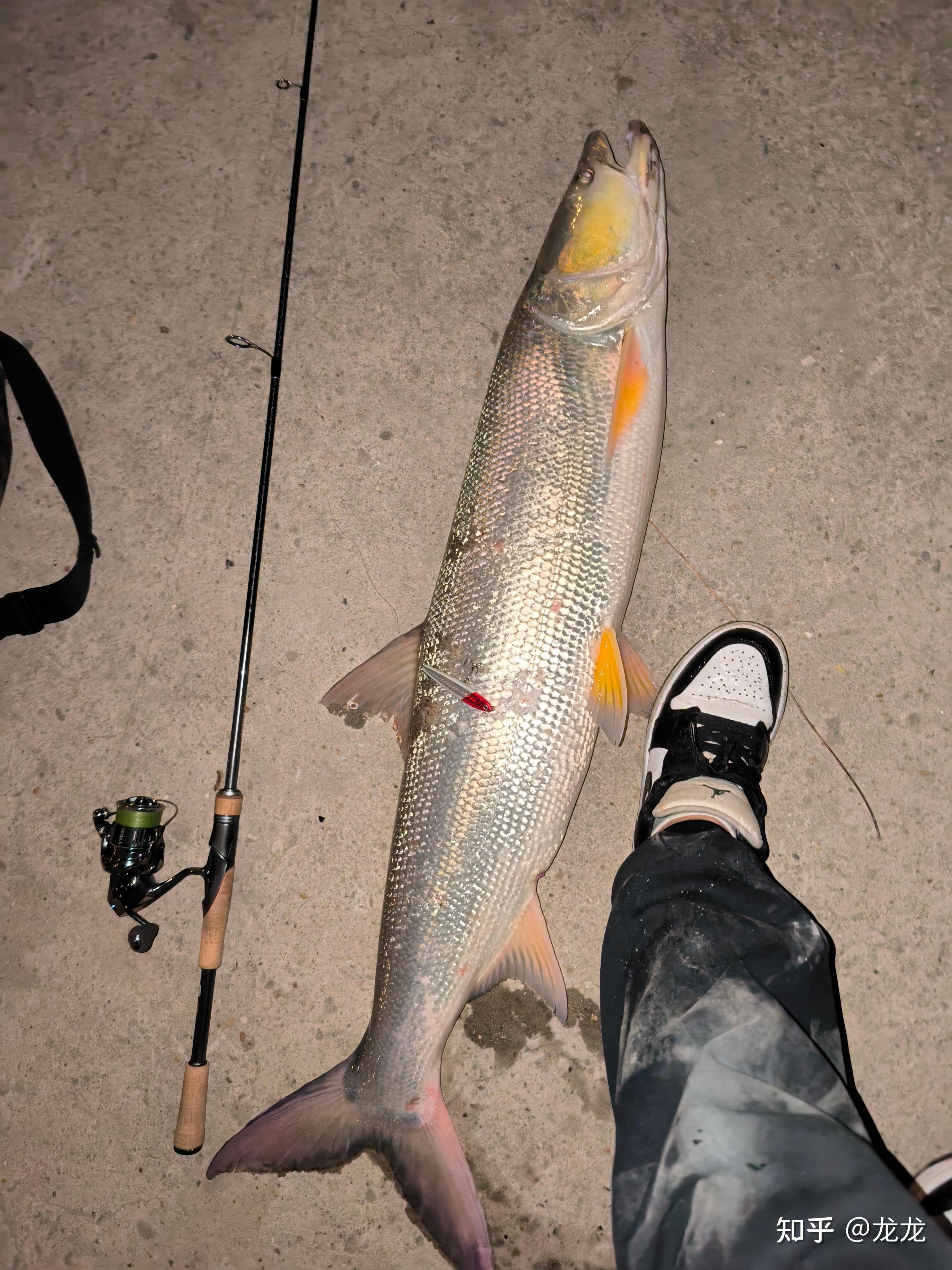 在中国路亚真的钓不到鱼吗