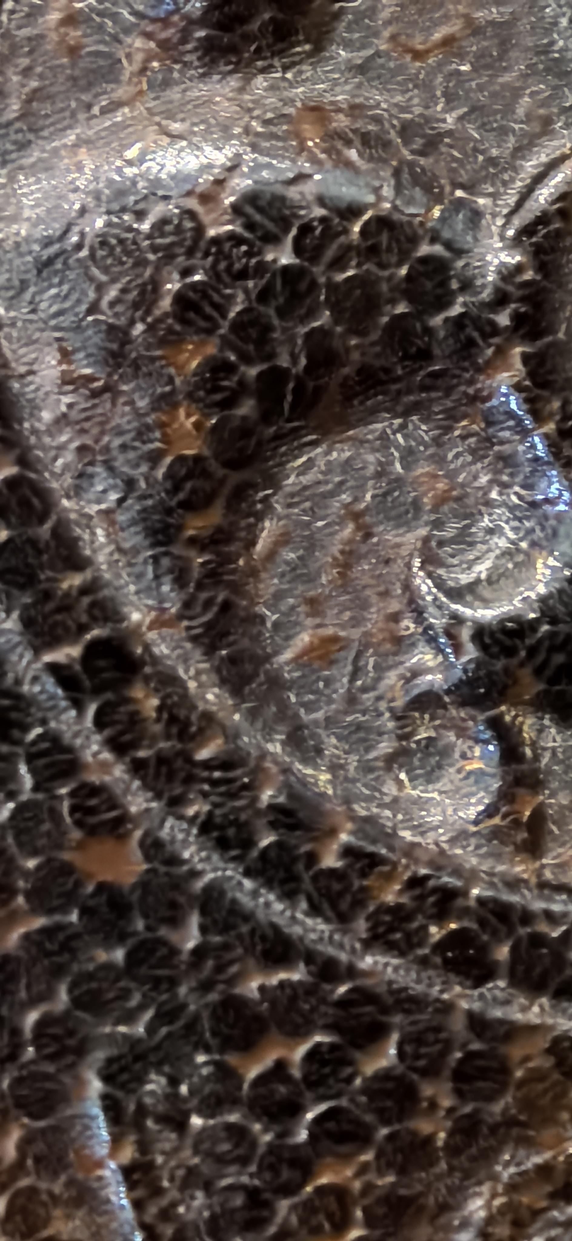 犀牛角在破邪,祛邪的药方里,几乎有他的存在,这是为什么?