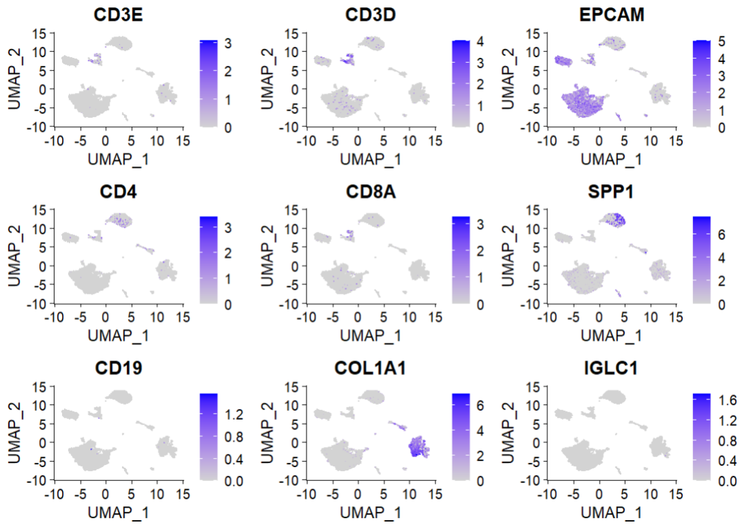 scRNA分析 | 定制 美化FeaturePlot 图,你需要的都在这 - 知乎