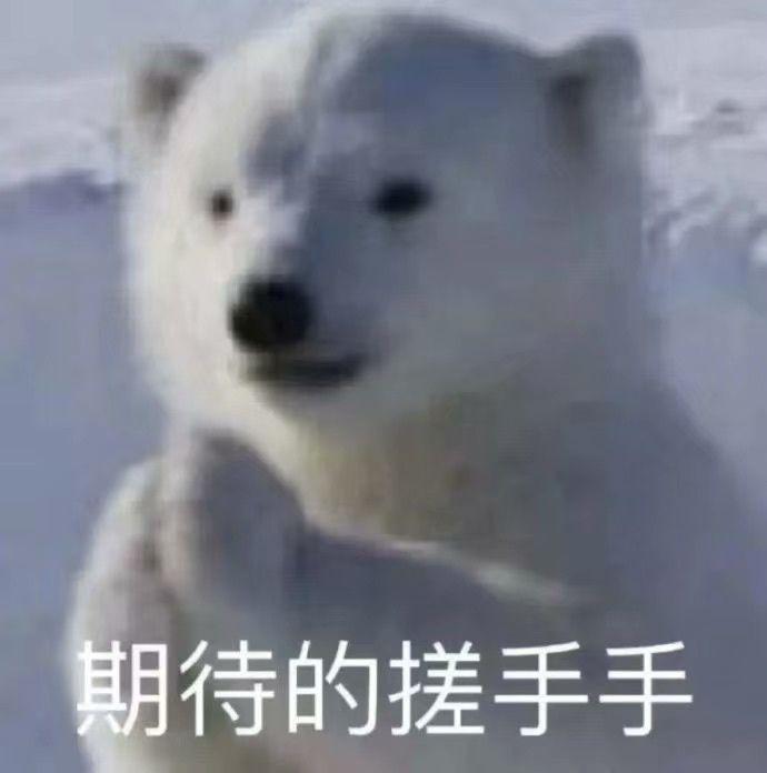 你收藏了哪些可爱的gif动画? - 知乎